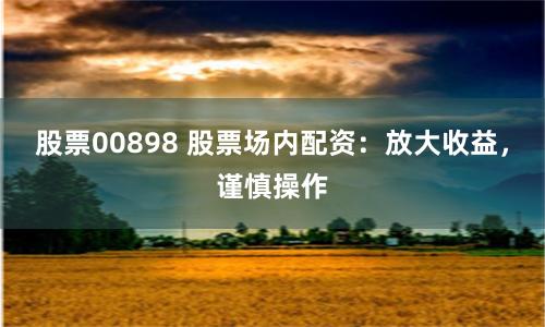 股票00898 股票场内配资：放大收益，谨慎操作