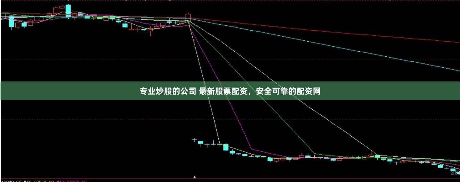 专业炒股的公司 最新股票配资，安全可靠的配资网